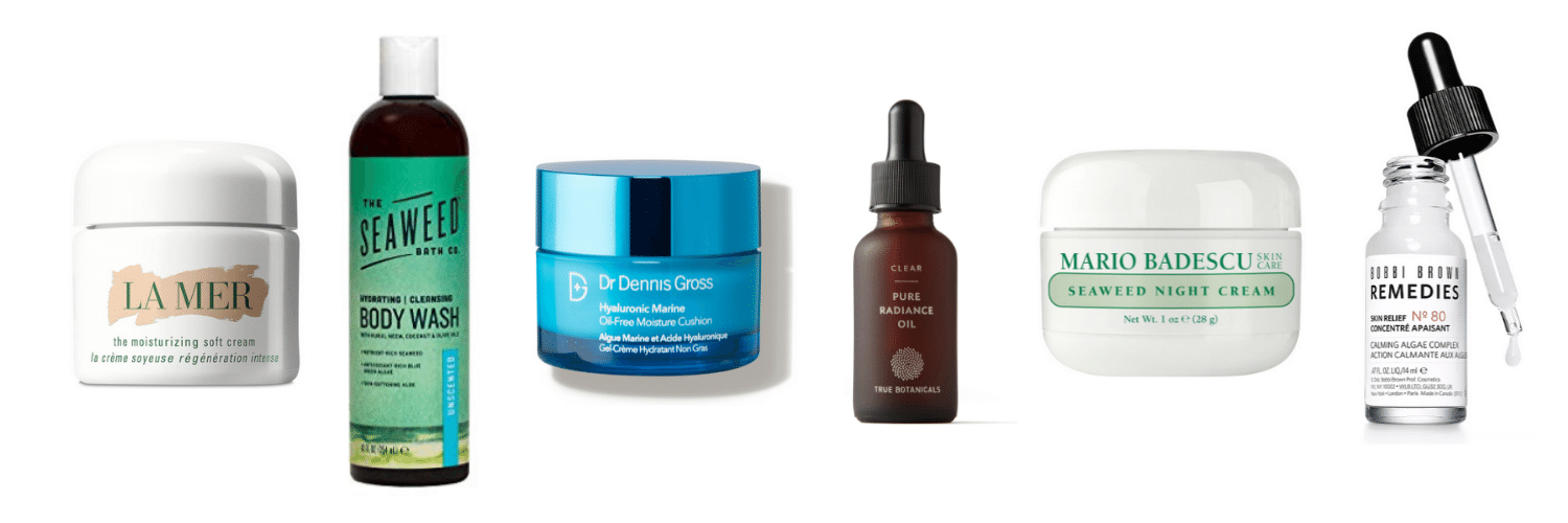 Algae in Skincare The Basics